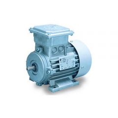 Industrial Electric Motor