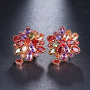 Women Earrings