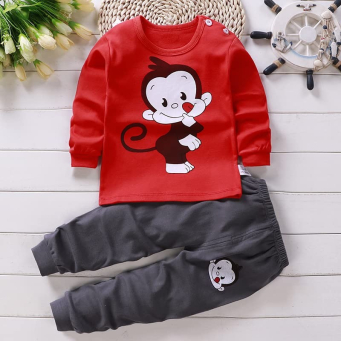 Boys Clothing Sets