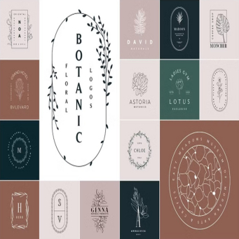 Branding & Logos