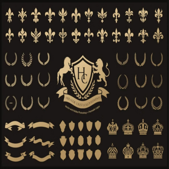 Branding & Logos