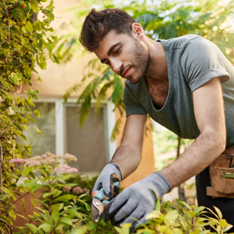 Hogar y Jardiner&iacute;a