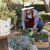 Seasonal Planting & Garden Makeovers