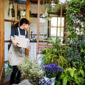 Home and Gardening