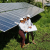 Home Energy Efficiency & Solar Panel Integration
