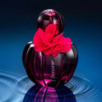 Women's Accessories
