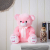 Jam & Honey Pink Teddy